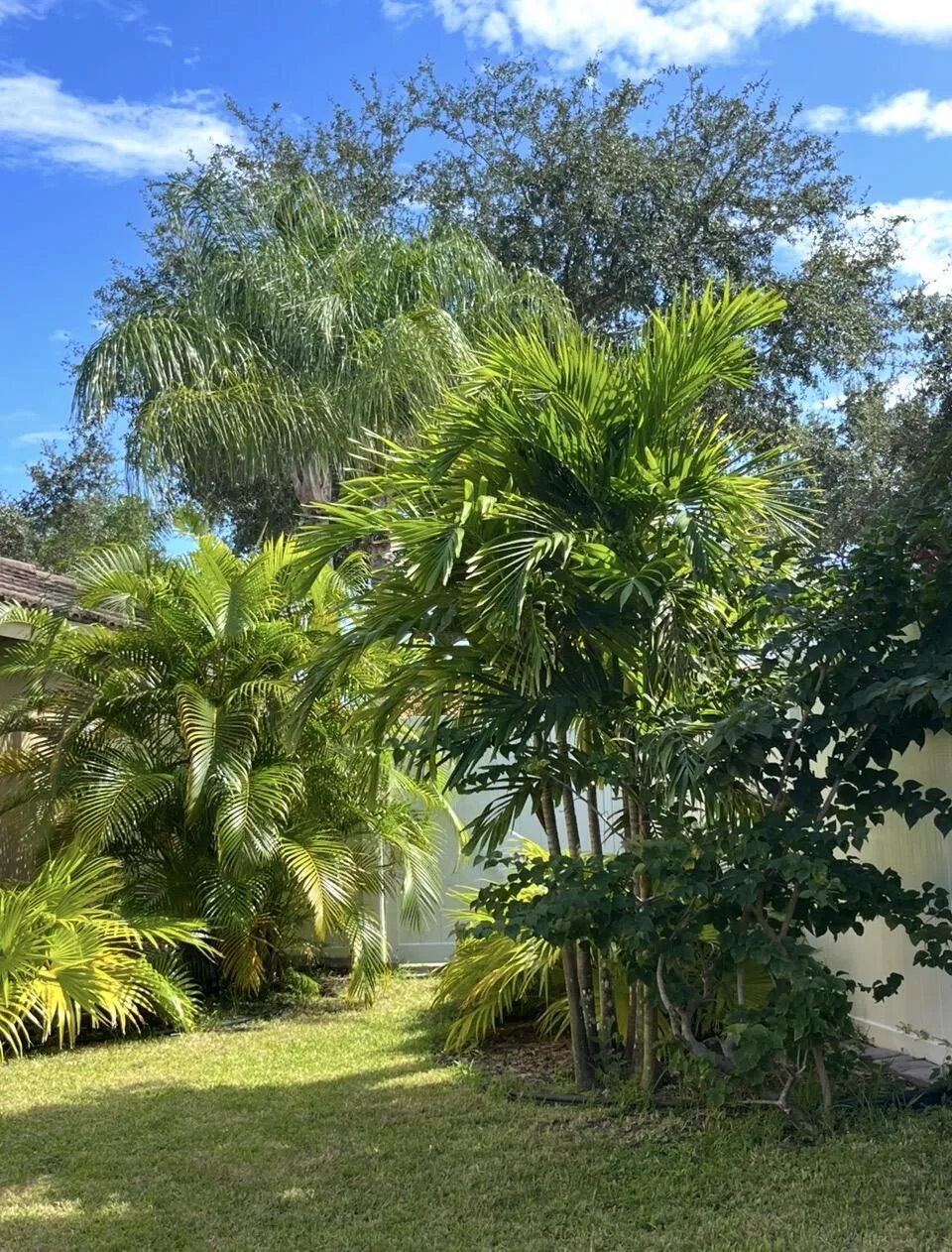 5012 Victoria Circle, West Palm Beach, Florida 33409 — photo 137